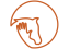 An orange outline of the silhouette of a horse head and human hand
