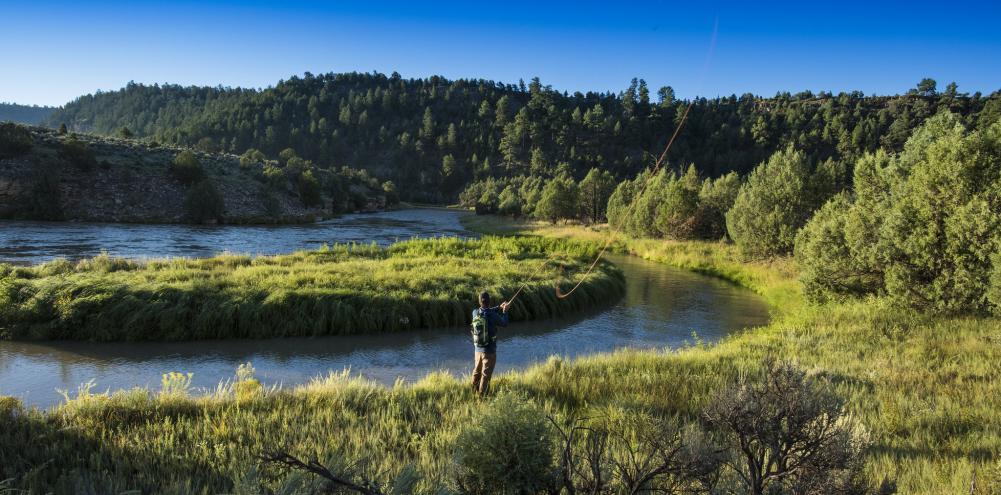 A flyfisher mid-cast on the Rio Charma
