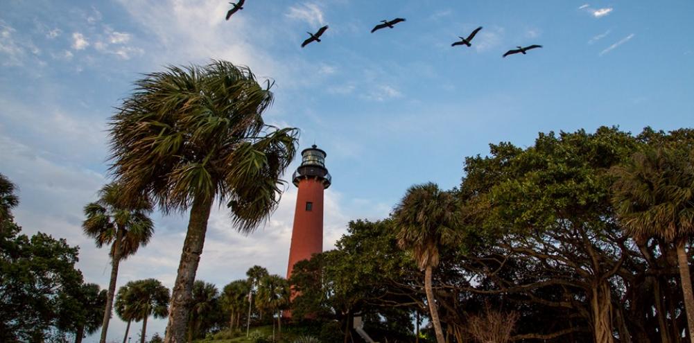 landscape of the Jupiter Inlet Lighthouse Outstanding Natural Area.jpg