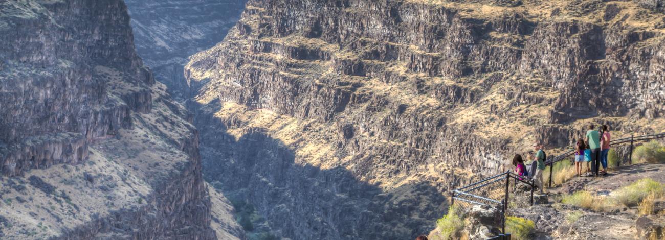 People looking out over the Bruneau river outlook