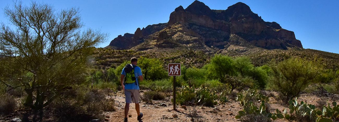 A person hikes along Arizona National Scenic Trail with a mountain in the background