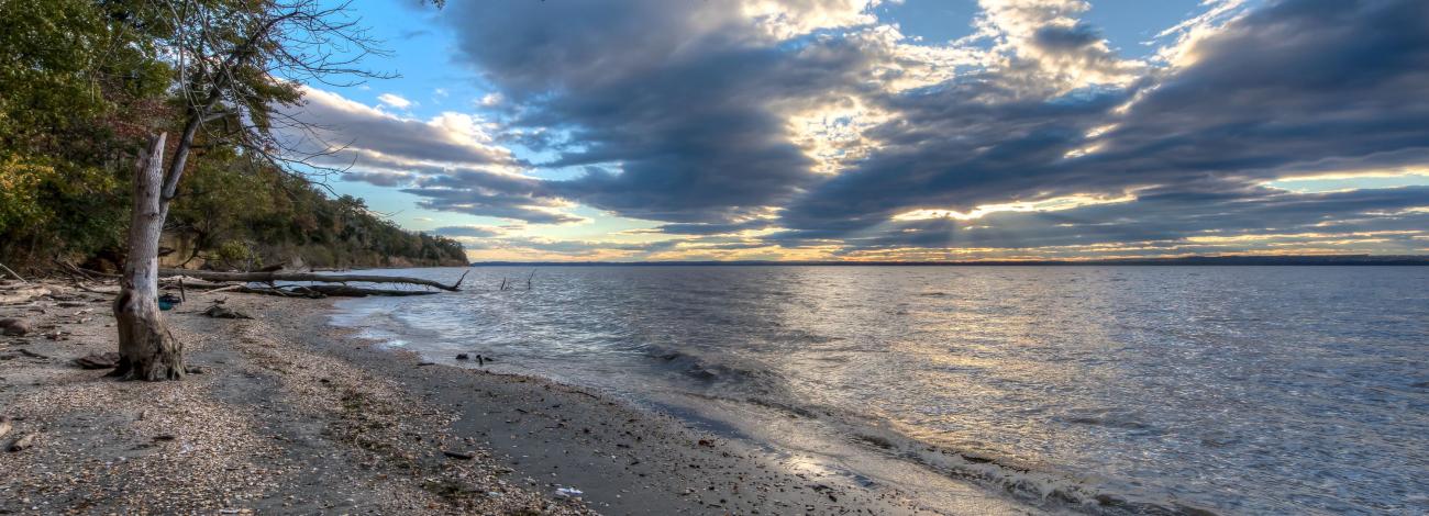 Tranquil beach scene at sunset with clouds reflecting in the water and a shoreline dotted with shells and driftwood.