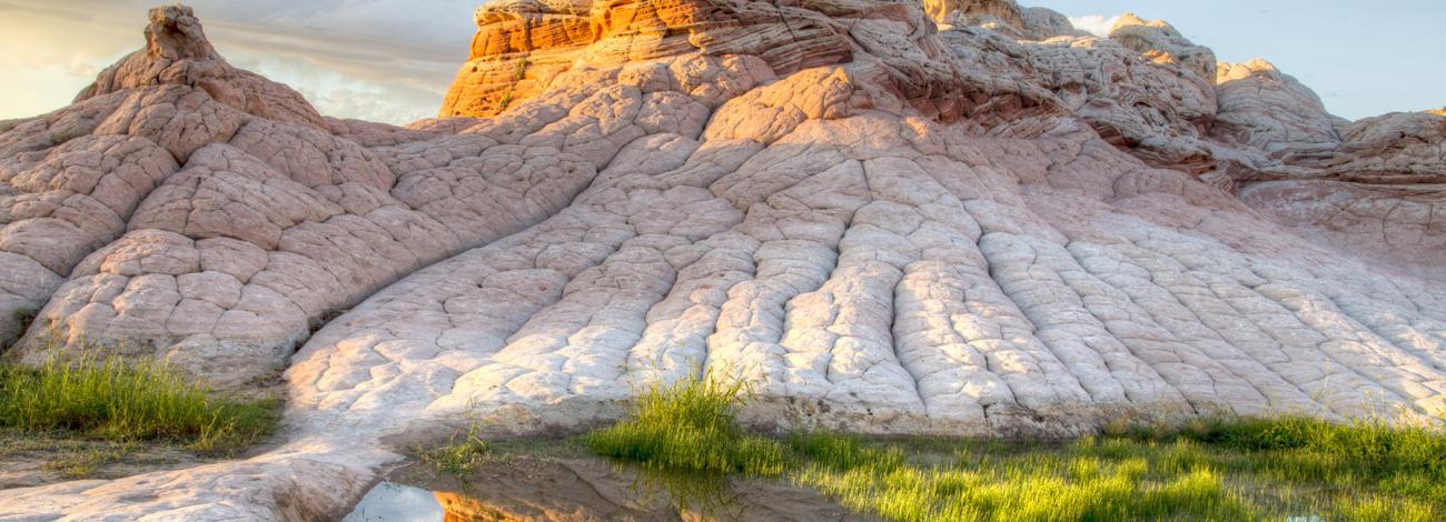 White Pocket with pool and vegetation