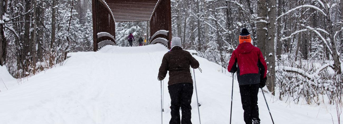 Two skiers ski toward a bridge on a snowy path in the woods.
