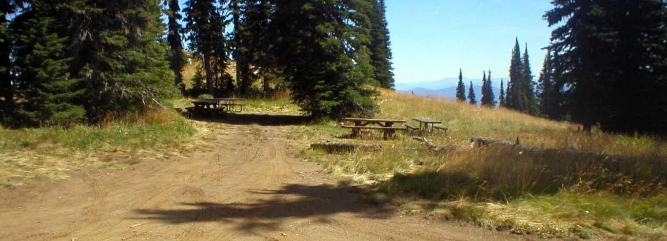Picture of picnic tables outdoors with timbered background.