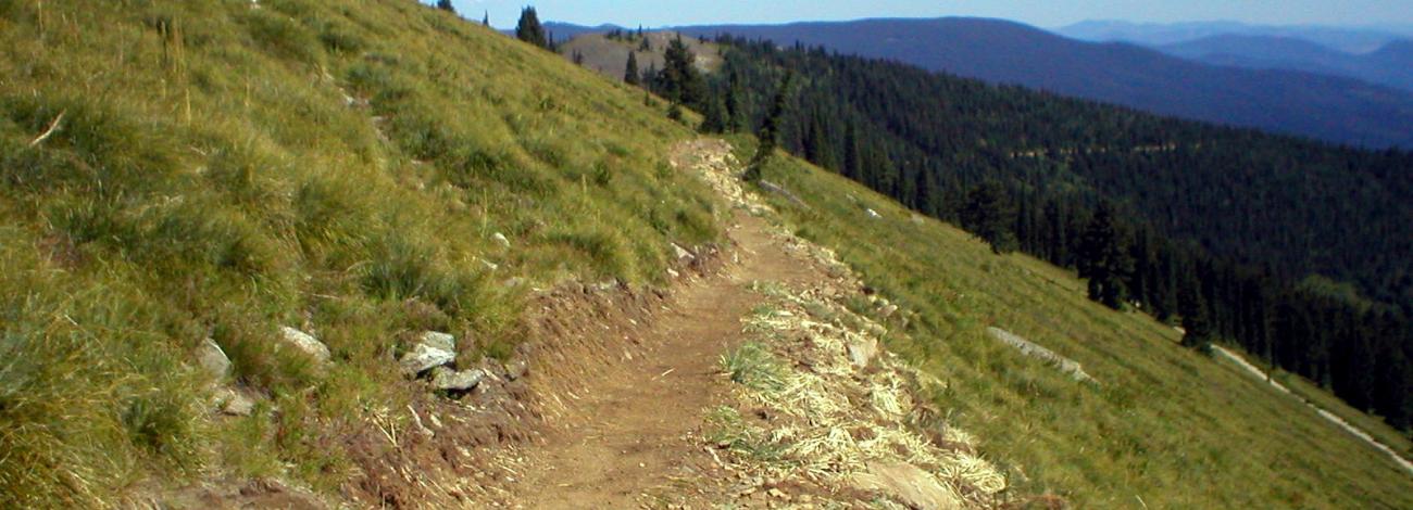 Image of dirt trail