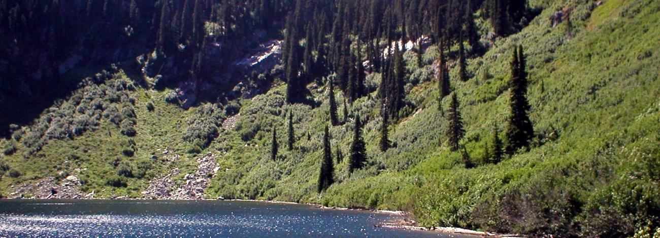 Image of lake