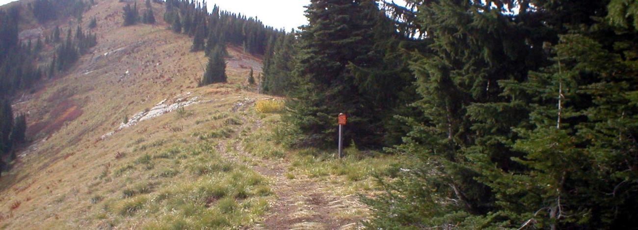 Image of trail along ridgetop