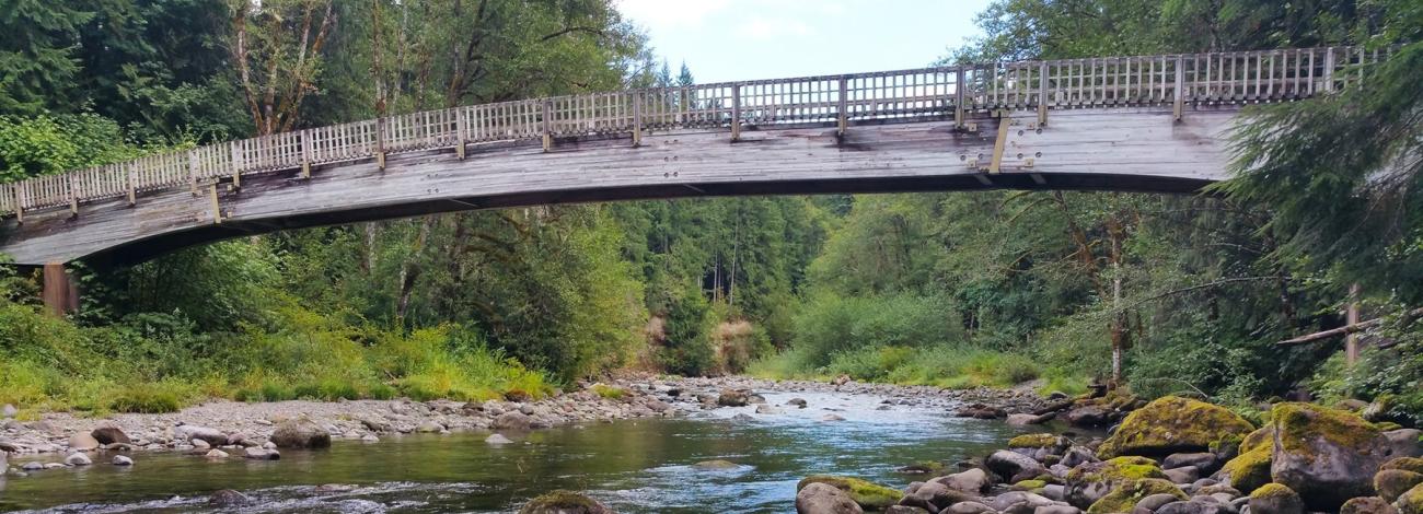 A shallow, rocky creek flows beneath a wooden footbridge surrounded by dense green forest.