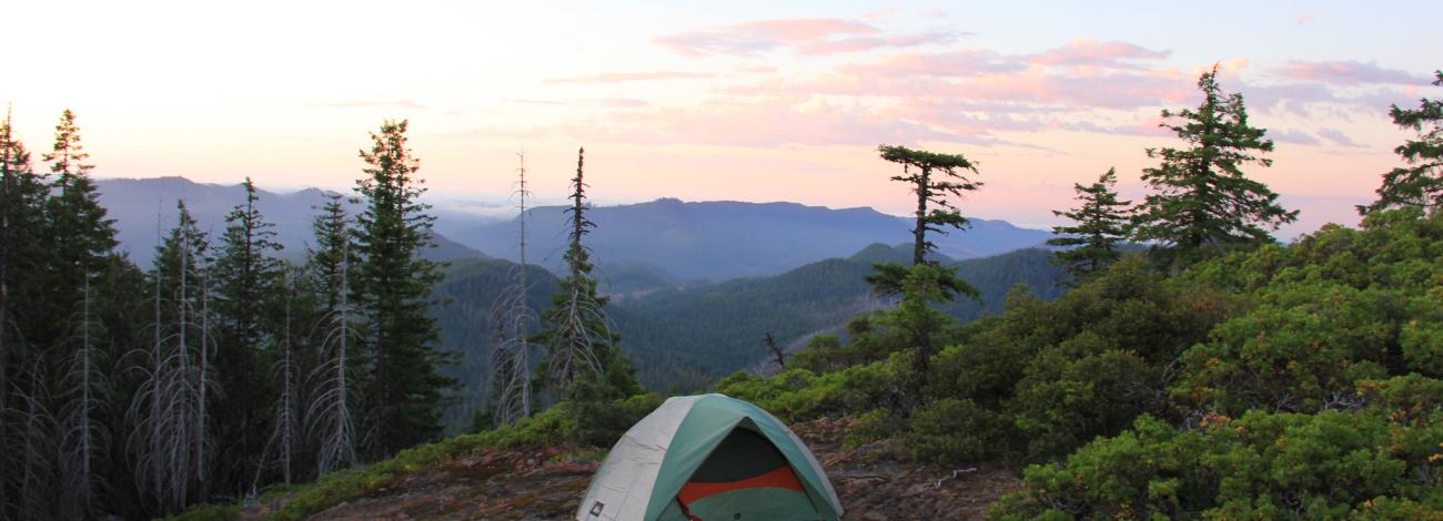 Single tent set up on a rocky ridge surrounded by evergreen trees, with distant mountains and a pastel sunrise sky in the background.