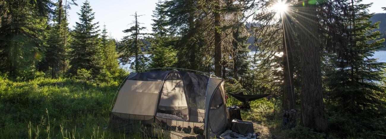 Camping tent set up in a forest clearing with tall pine trees, sunlight streaming through branches, and a lake visible in the background.