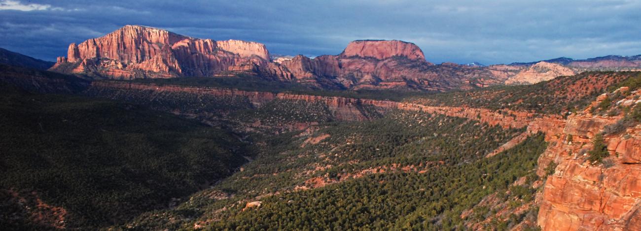 Red canyon walls and buttes tower over a shrubby valley