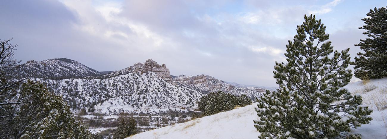New Mexico Winter Landscape