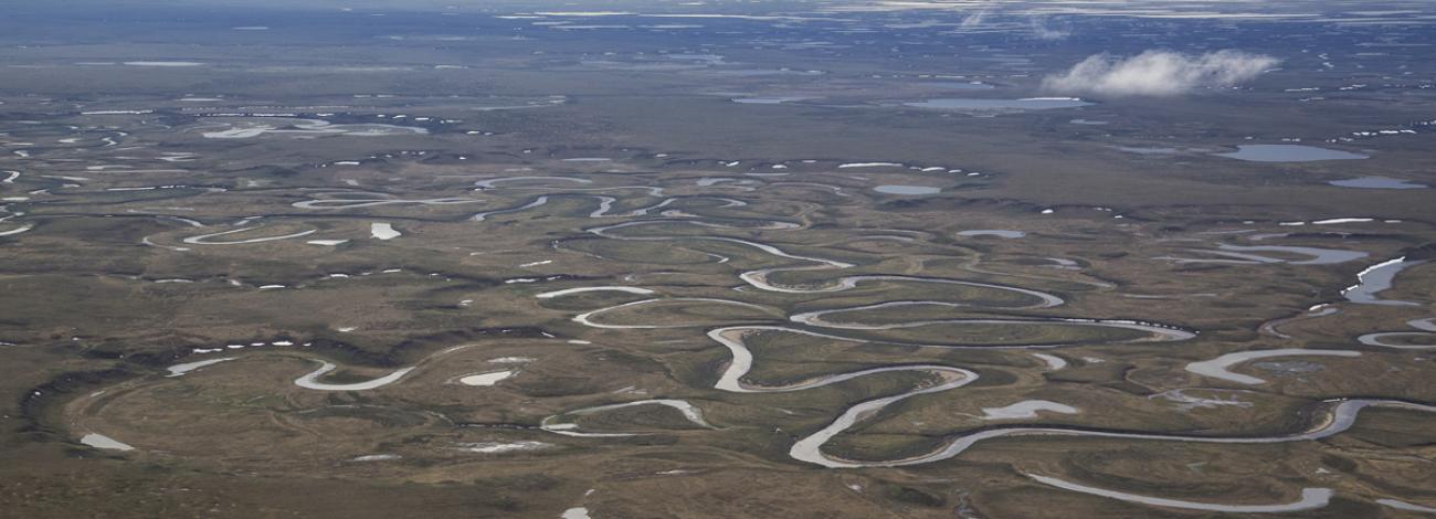 Aerial photo of the tundra and rivers of the Northeast National Petroleum Reserve in Alaska.