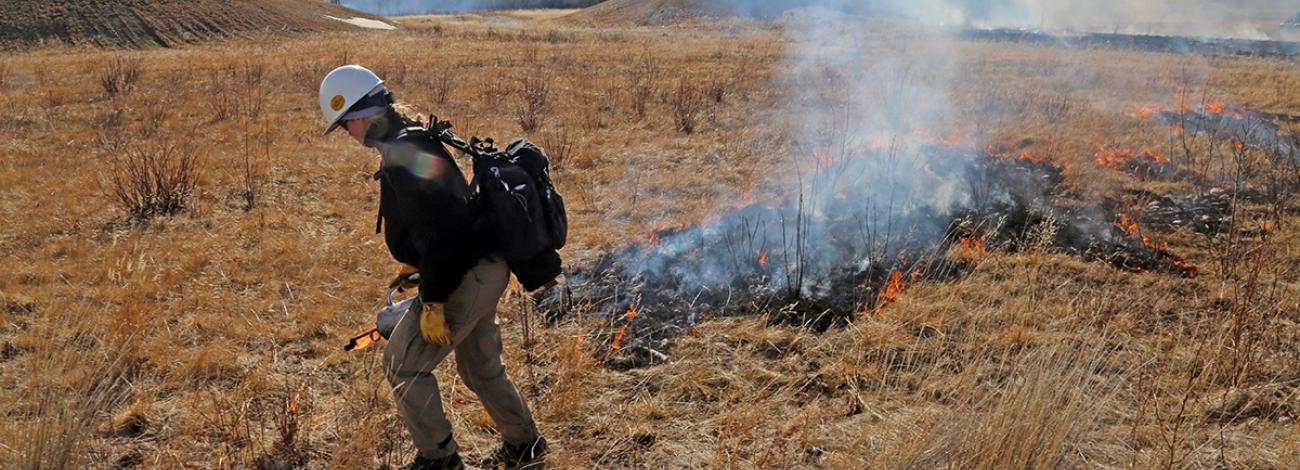 fire fight doing a prescribed burn with drip torch on military land in Alaska
