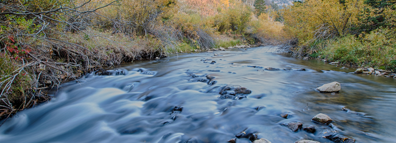 A river running through Fort Blacktail Wilderness Study Area. Photo by Bob Wick.