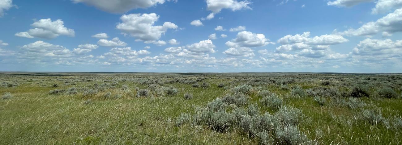 Glasgow Field Office