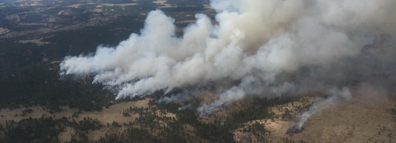 Griffen Gulch Fire