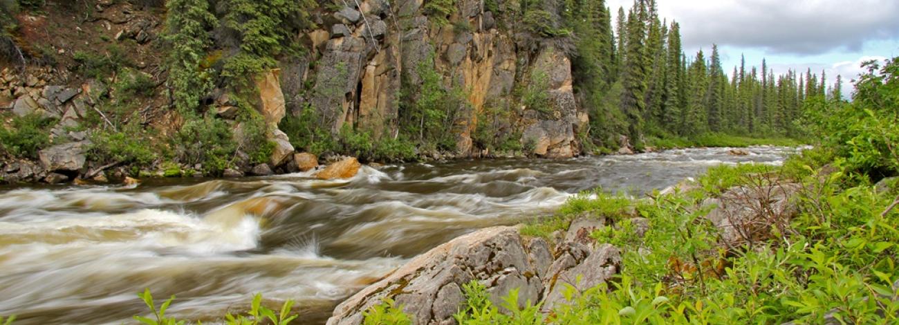 Canyon Rapids on the Gulkana Wild and Scenic River during the summer
