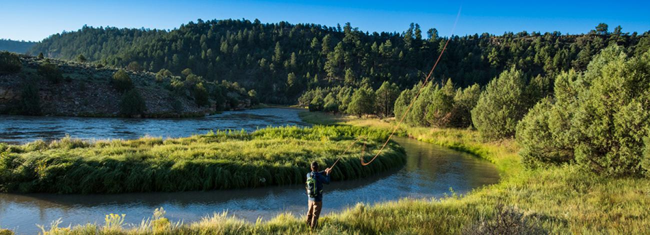 A fly fisher casting into a bend of the Rio Chama Wild and Scenic River