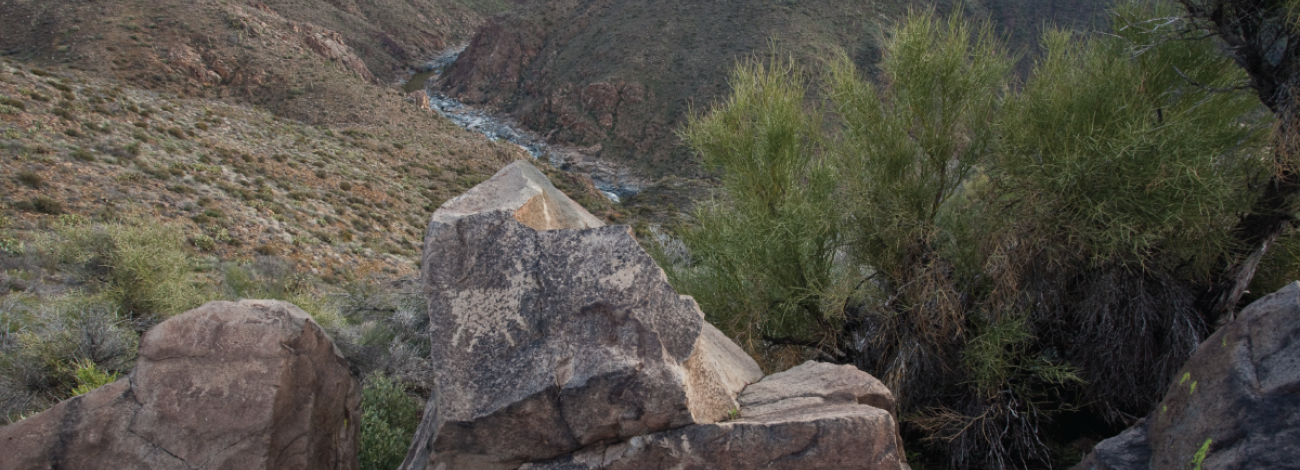 Petroglyphs showing large mammals in the foreground. A canyon with a river winding through it is in the background.