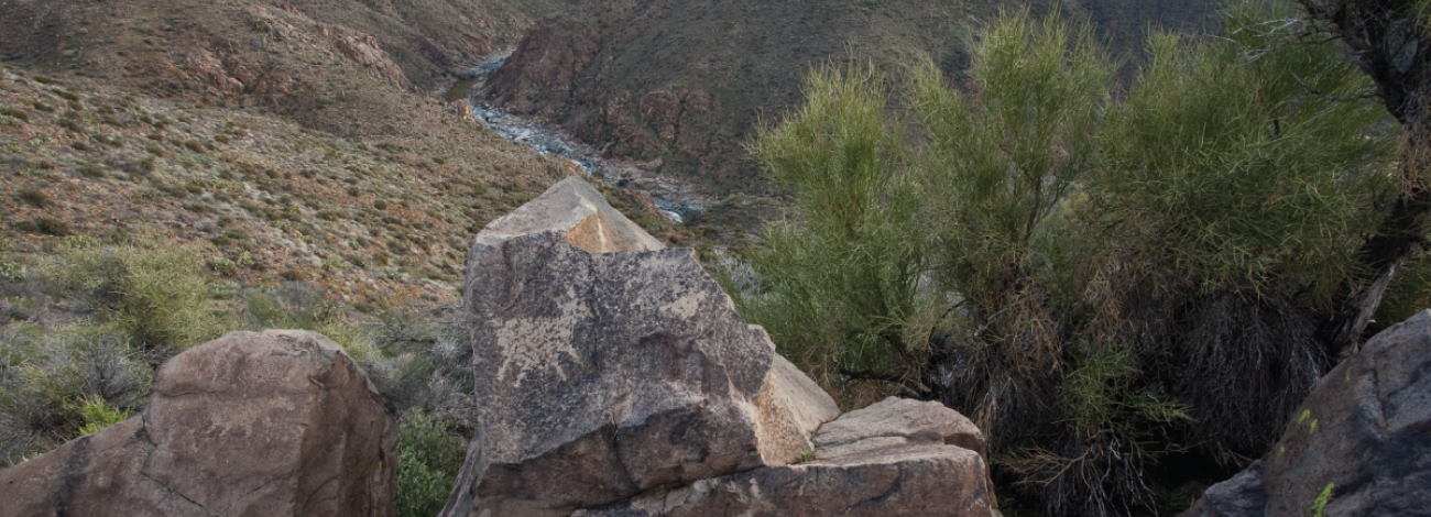 rock art showing large mammals in the foreground. A canyon with a river winding through it is in the background.