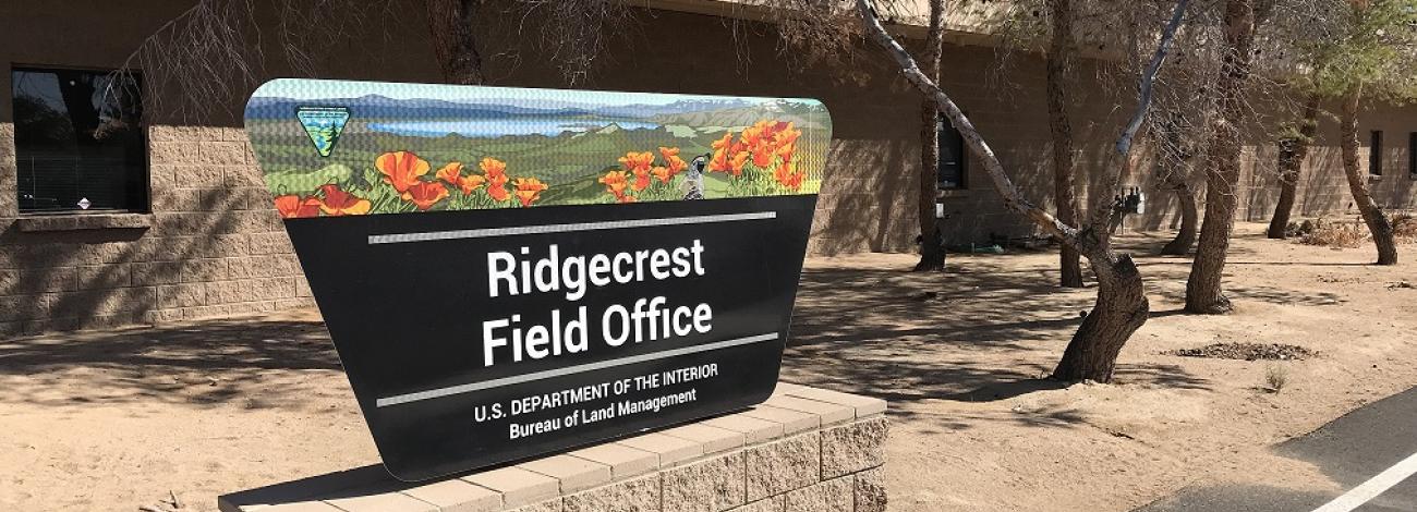 photo of office sign and building