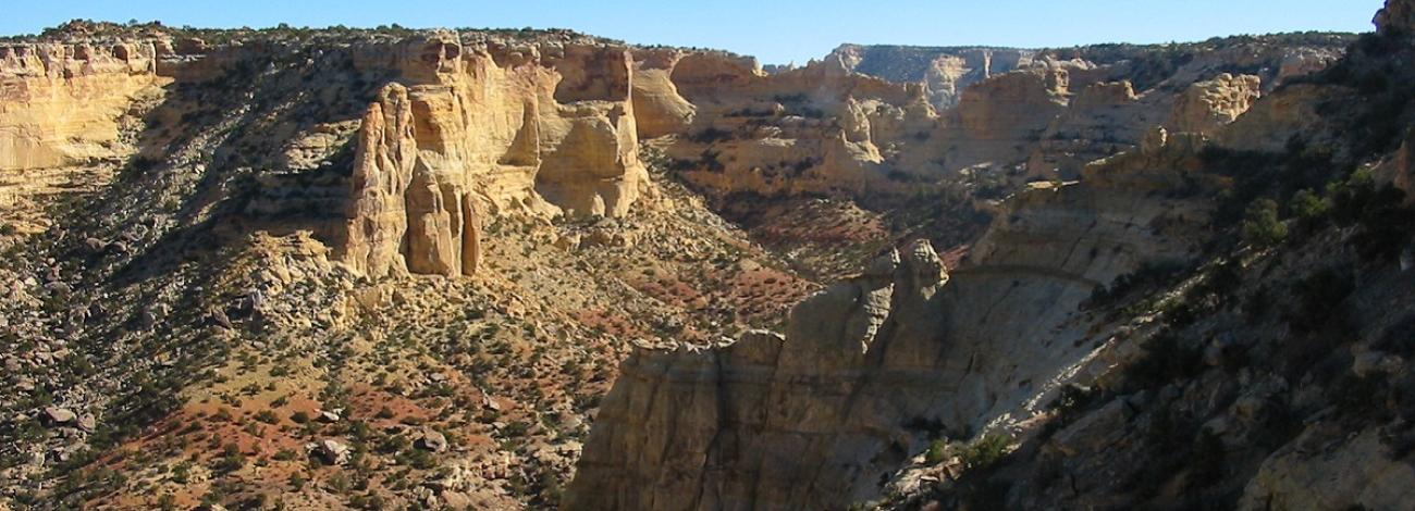 Massive walls of sandstone in a canyon overlooking a valley of small shrubs below. Sunny day and blue skys