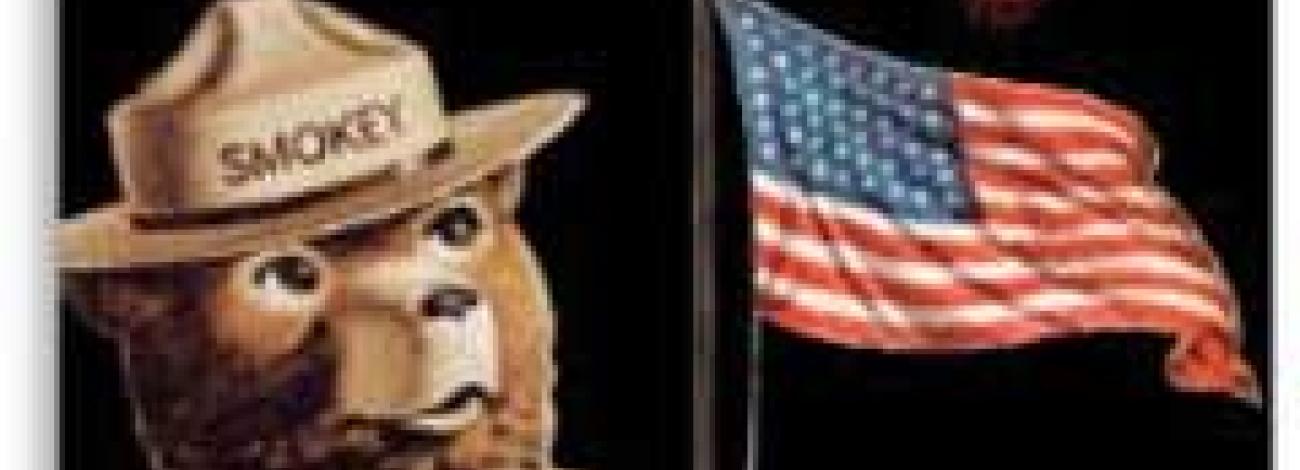 Smokey Bear stands holding an American flag and looks up at fireworks.