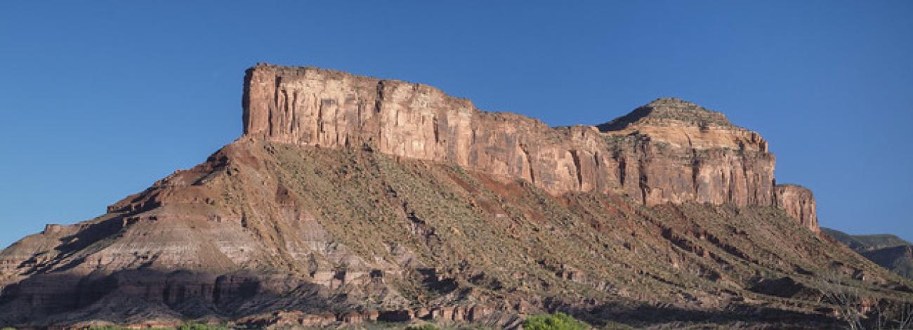 palisade wsa with river in foreground mesa in background