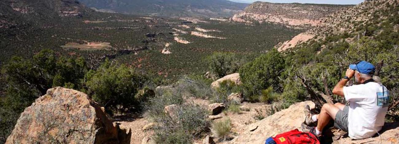 man seated on rock looking over vast landscape