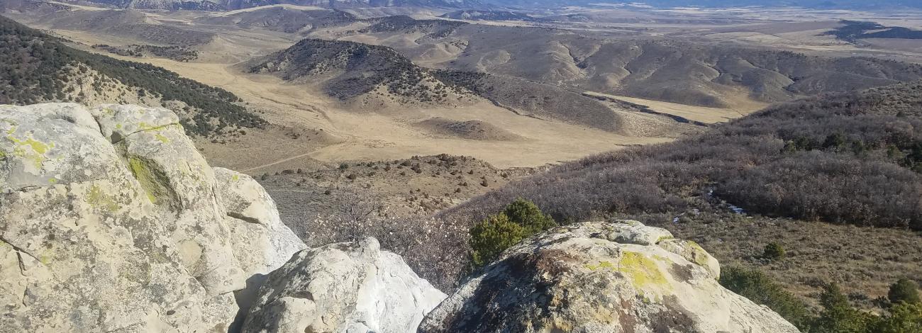 scenic view of high desert landscape