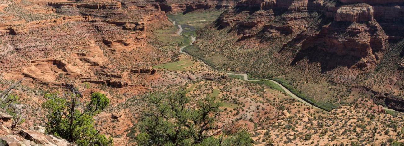 Looking down from the mesa top to the Dolores River as it winds through the canyon. 