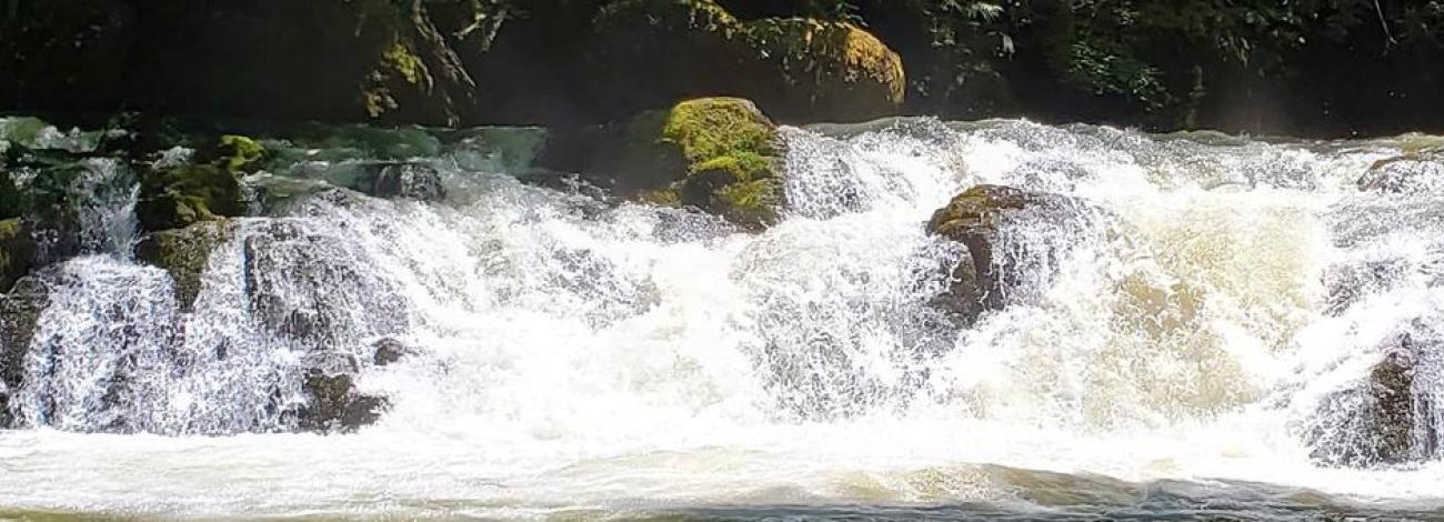 Cavitt Creek Falls during the early summer months