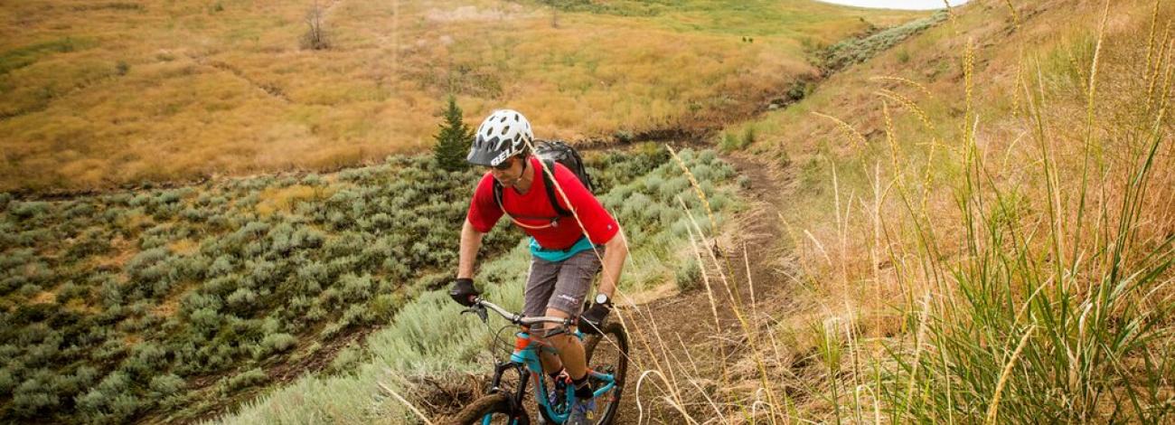 Croy Creek mountain biker