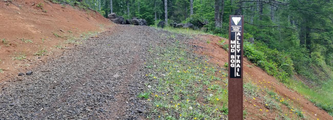 View along the Mud Bog Alley Trail at the Blue Ridge Trail System