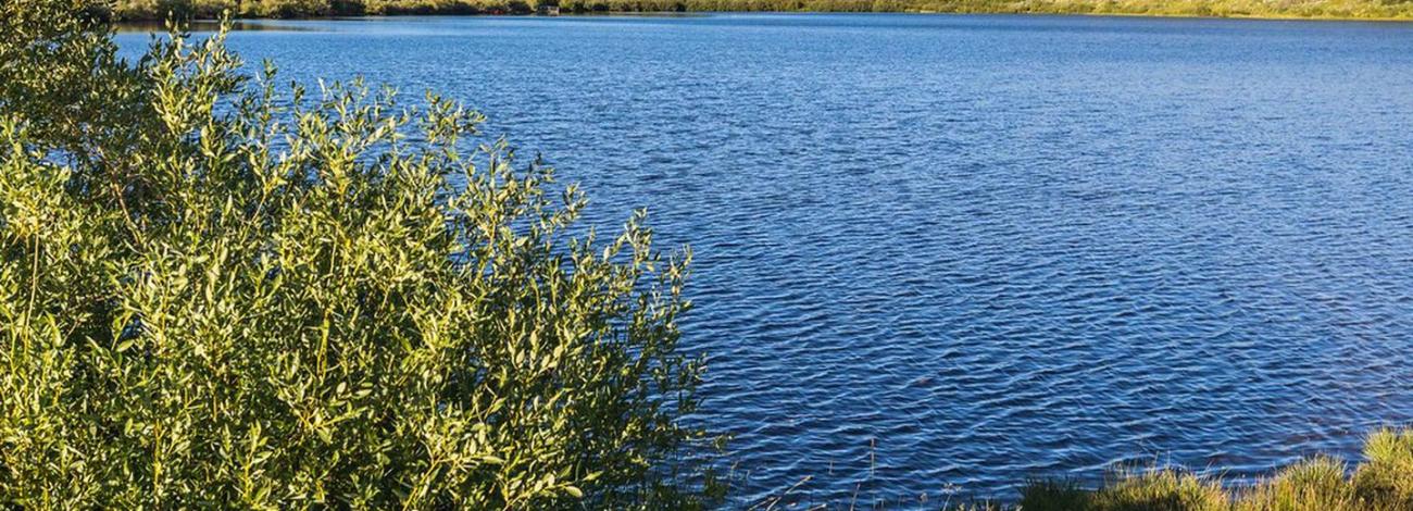Fish Lake