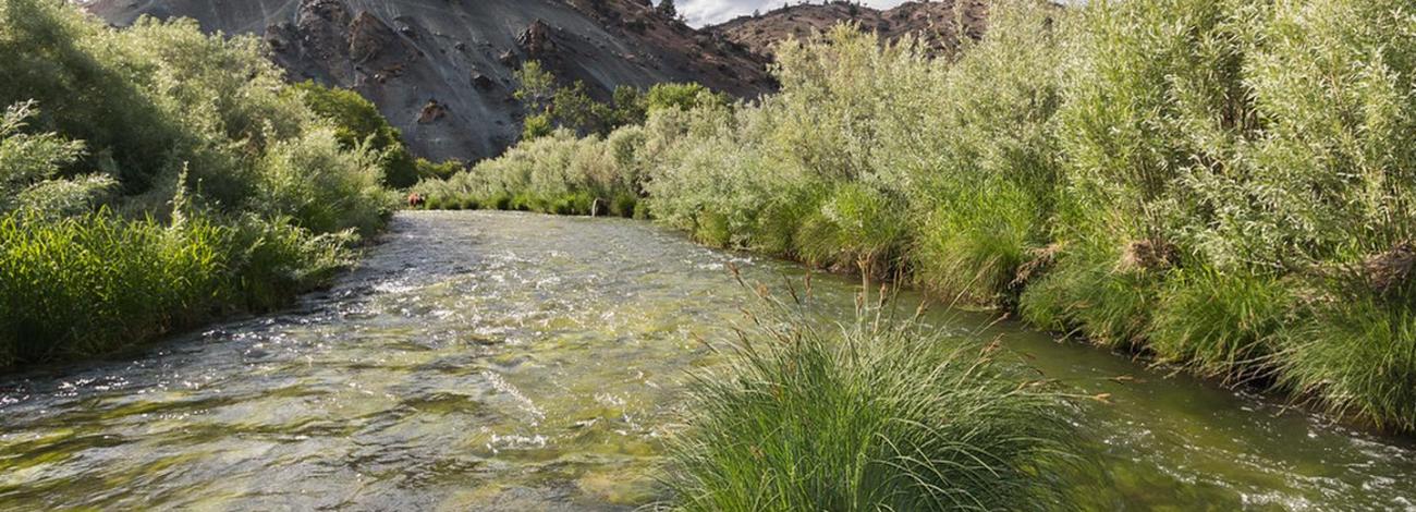 Evening view of the South Fork John Day River.