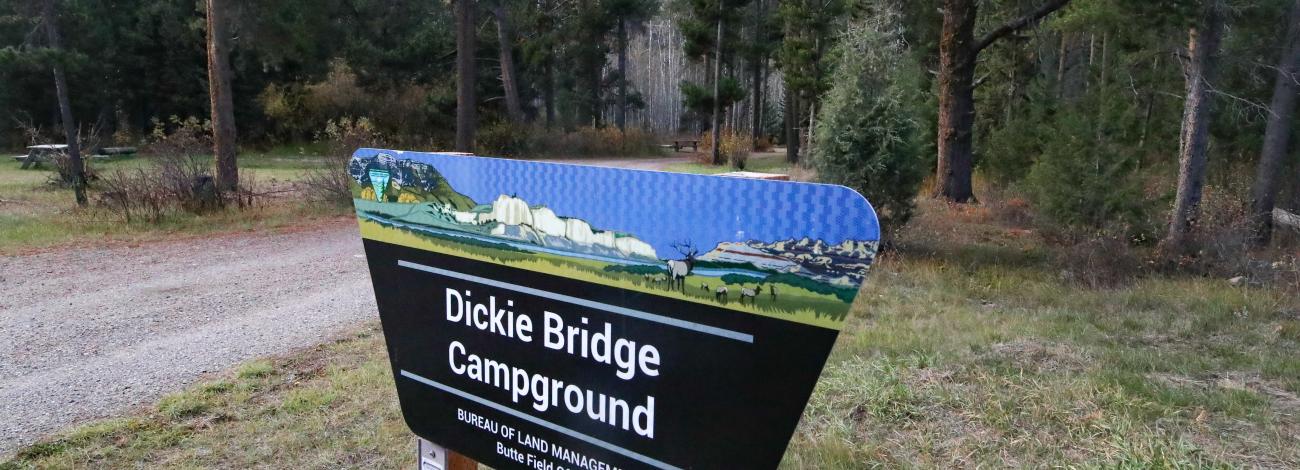 Dickie Bridge Campground Sign