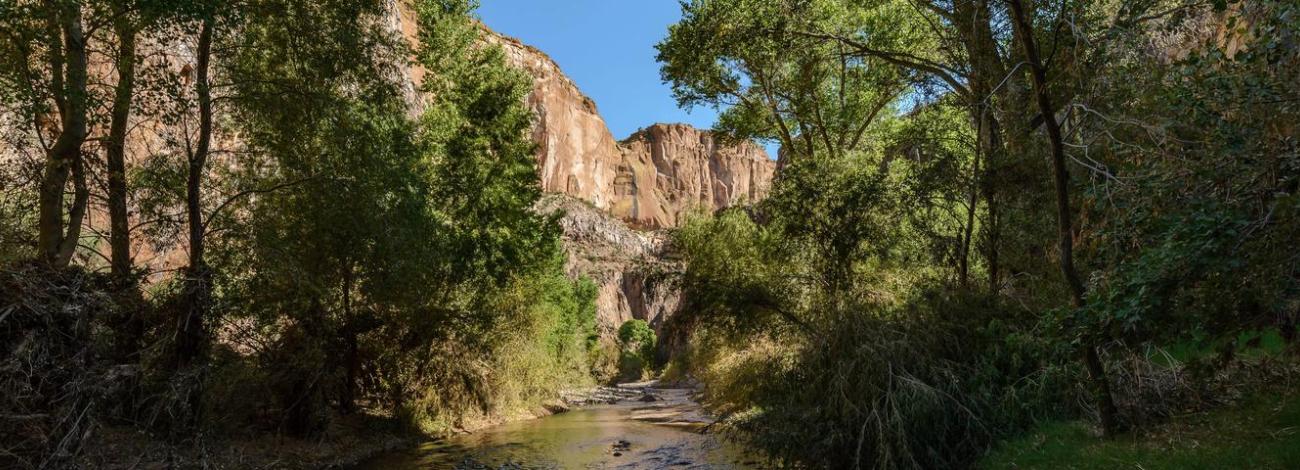 Aravaipa Canyon Wilderness