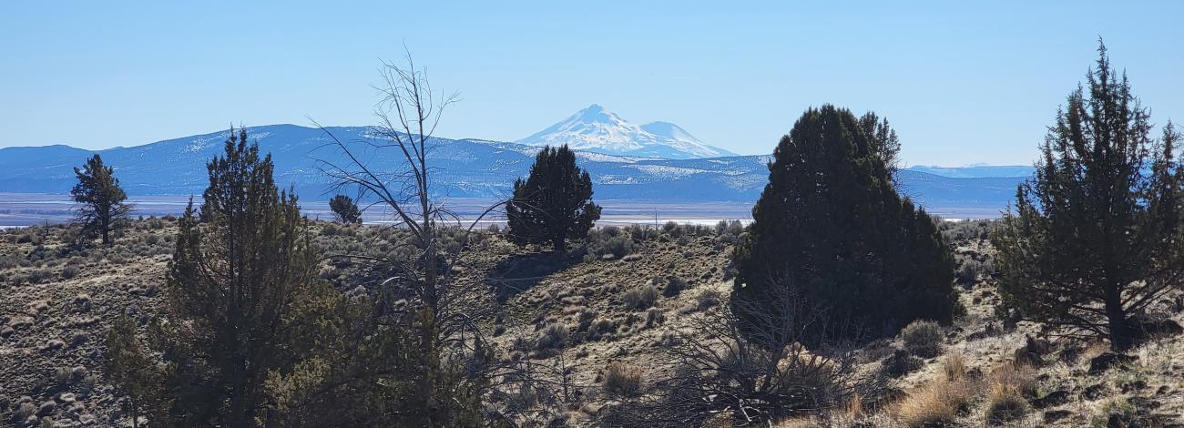 View of Mt. Shasta from the the Klamath Hills Recreation Area.