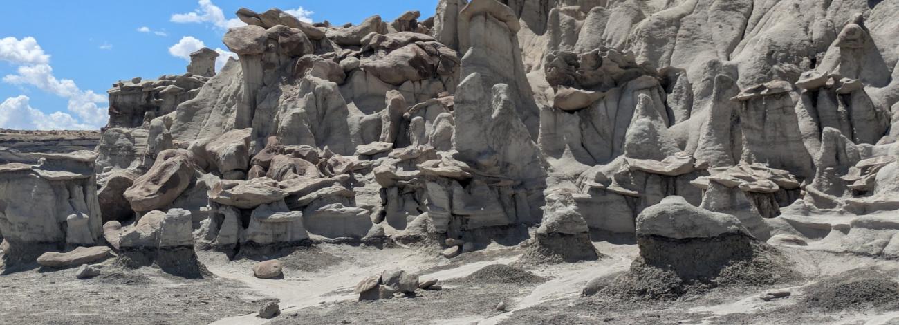 Bisti/De-Na-Zin Wilderness