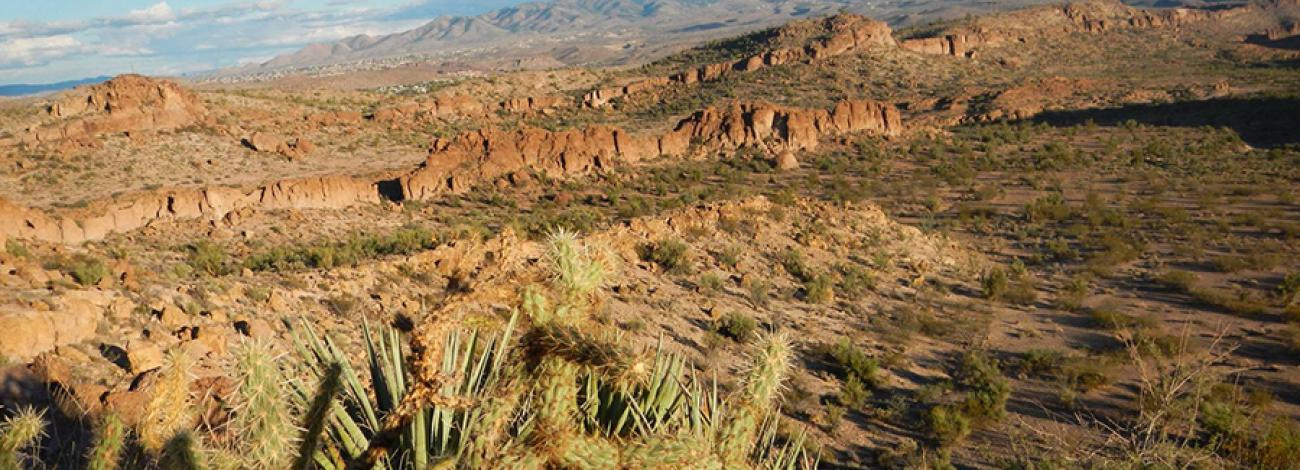 View of the Hualapai Mountains from the Cerbat Foothills