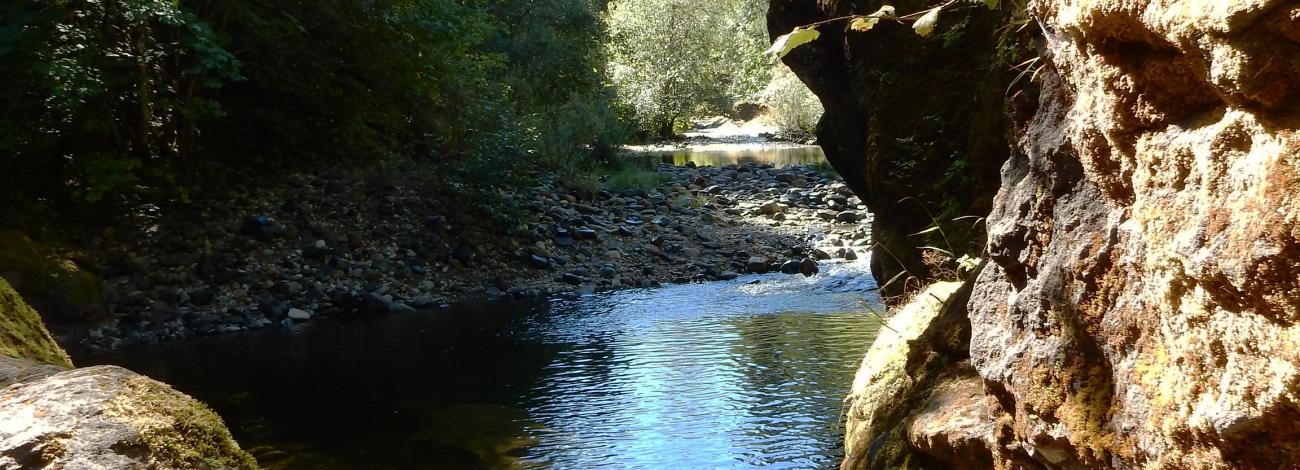 View of Sharps Creek