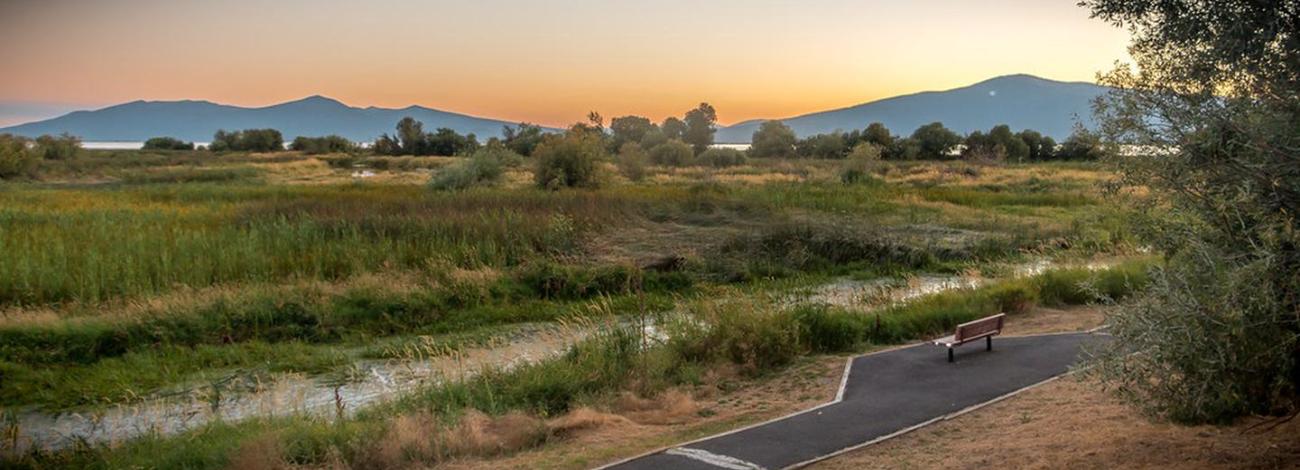 Evening view of Wood River Wetlands
