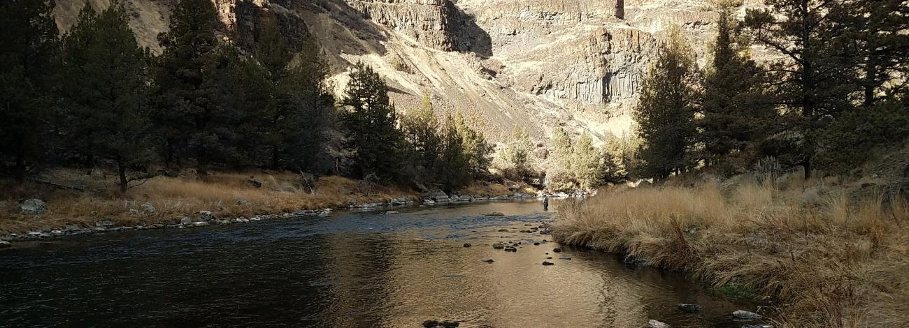 Winter Shadows at  Big Bend Campground