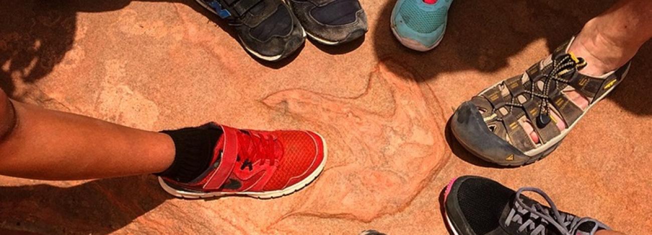 Moccasin Mountain Dinosaur tracksite