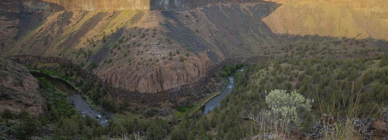 Canyonside view of the Crooked Wild and Scenic river.