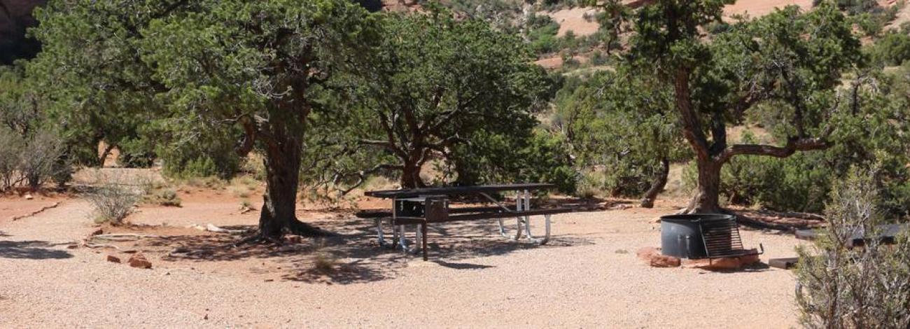 Windwhistle Group Site