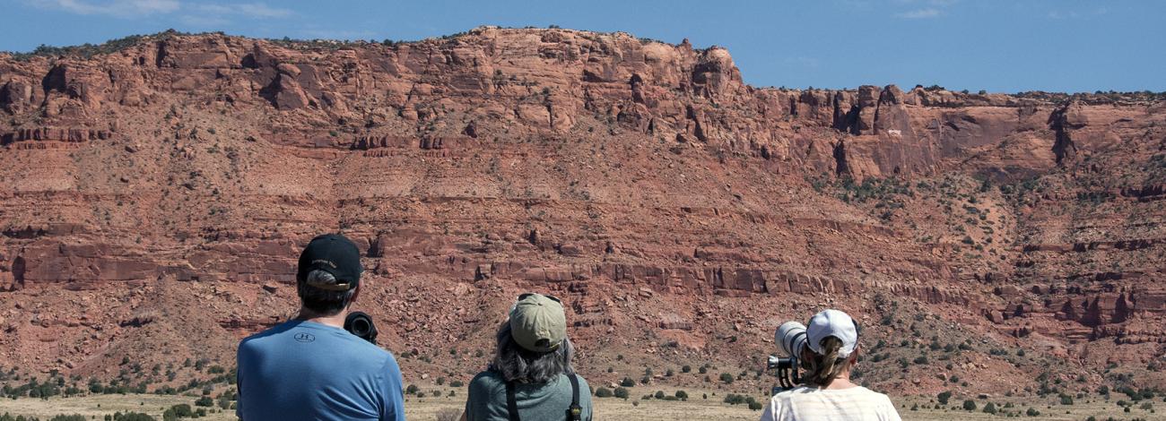 View of the Vermilion Cliffs from the Condor Viewing Site